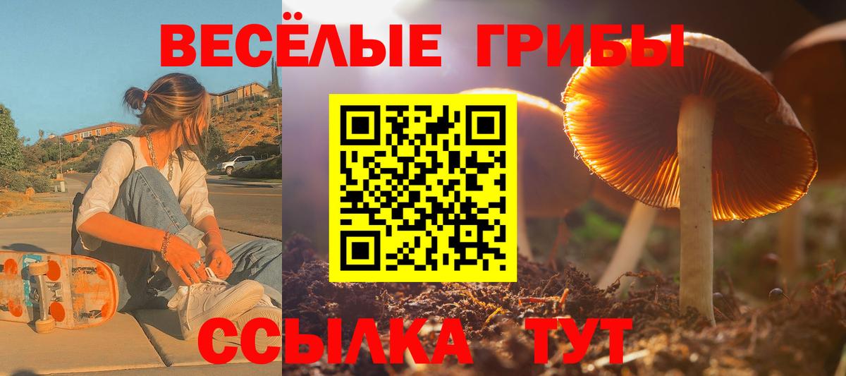 Галлюциногенные грибы мухоморы Звенигород